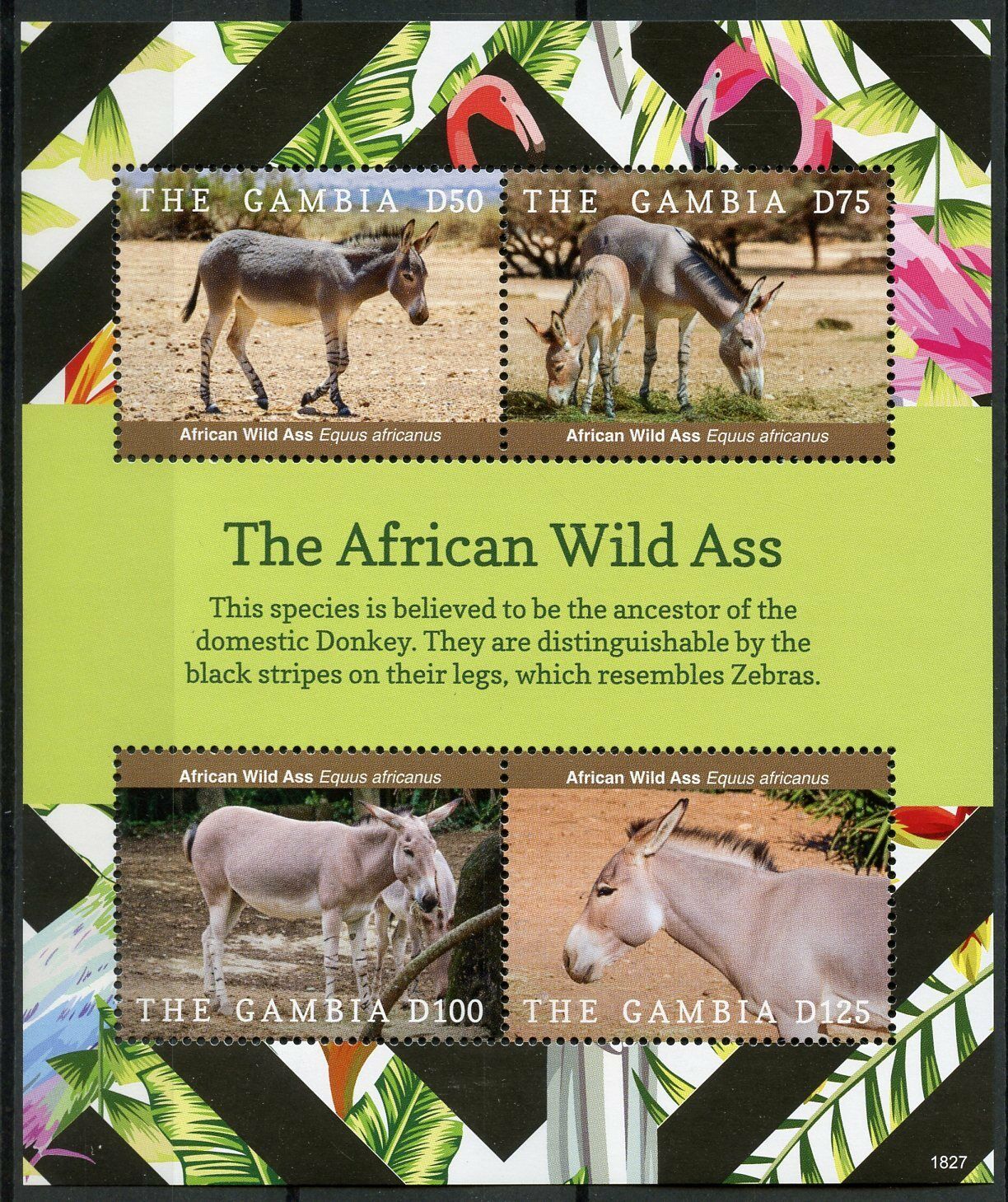 Gambia 2018 MNH Wild Animals Stamps African Wild Ass Fauna Mammals 4v M/S