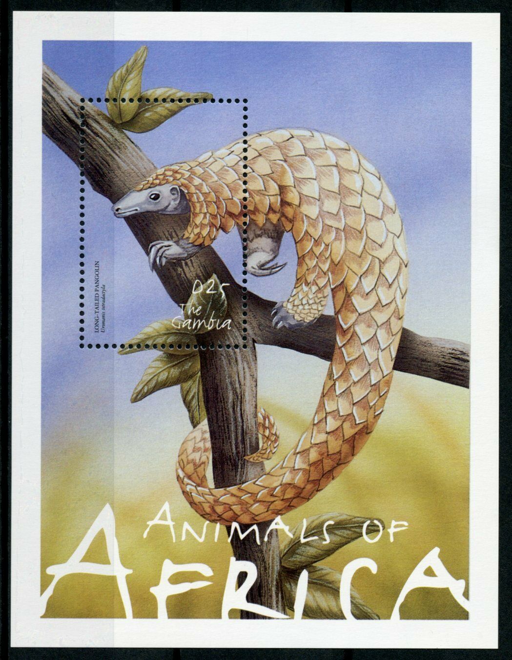 Gambia Wild Animals Stamps 2002 MNH Animals of Africa Pangolins Fauna 1v S/S