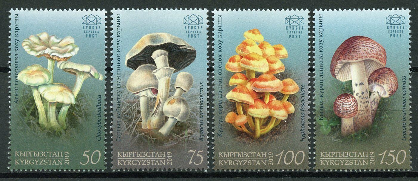 Kyrgyzstan KEP 2019 MNH Poisonous Mushrooms 4v Set Fungi Nature Stamps