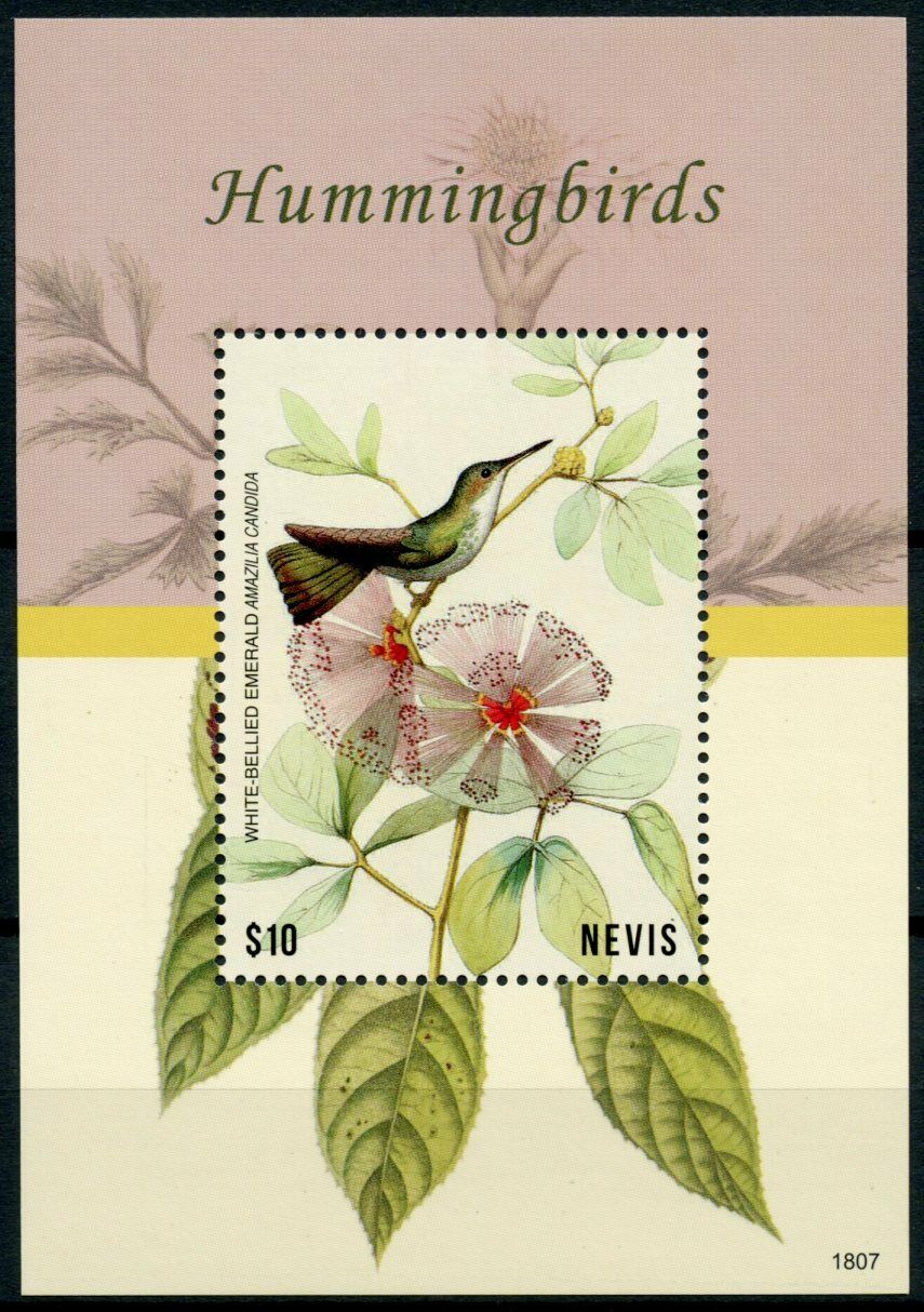 Nevis 2018 MNH Birds on Stamps Hummingbirds White-Bellied Emerald 1v S/S