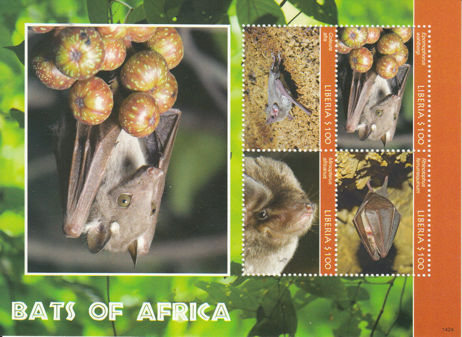 Liberia 2014 MNH Bats of Africa 4v M/S Wildlife Wild Animals Miniopterus