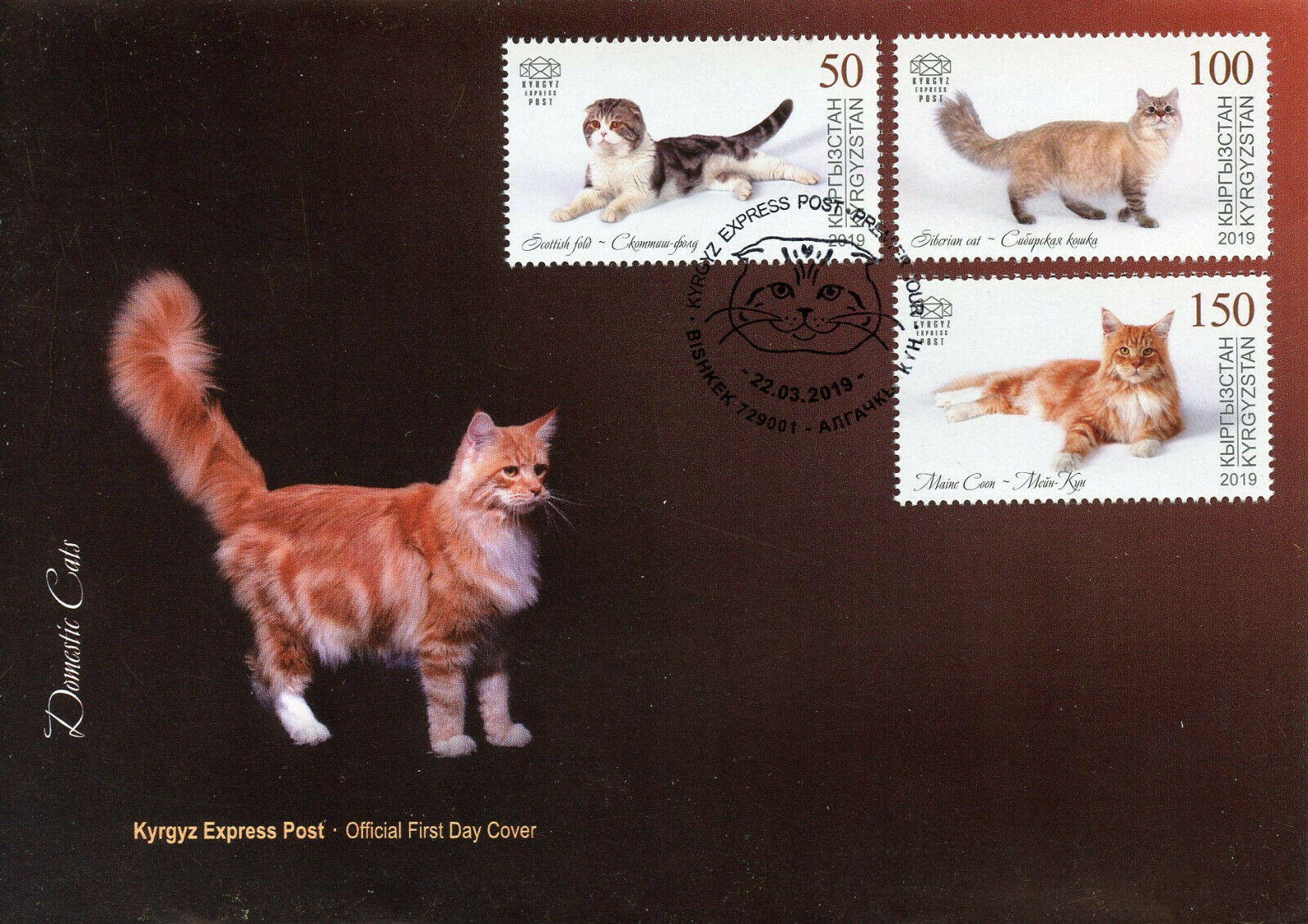 Kyrgyzstan KEP 2019 FDC Domestic Cats Scottish Fold Maine Coon 3v Cover Stamps