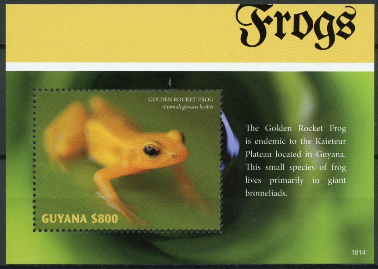 Guyana 2018 MNH Amphibians Stamps Frogs Golden Rocket Frog 1v S/S