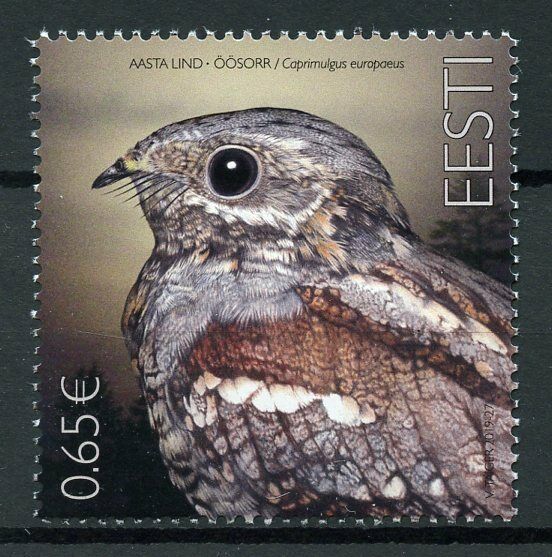 Estonia Birds on Stamps 2019 MNH Nightjar Bird of Year Nightjars 1v Set
