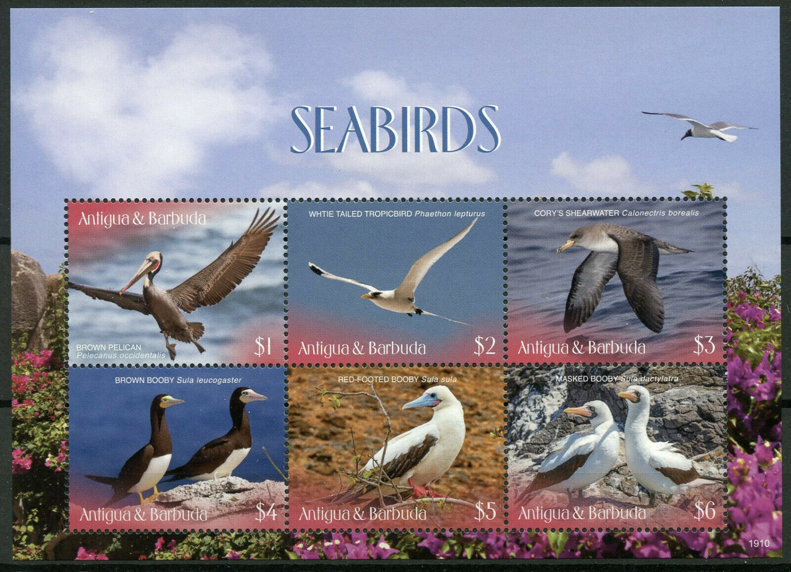 Antigua & Barbuda 2019 MNH Birds Stamps Seabirds Pelicans Shearwater 6v M/S