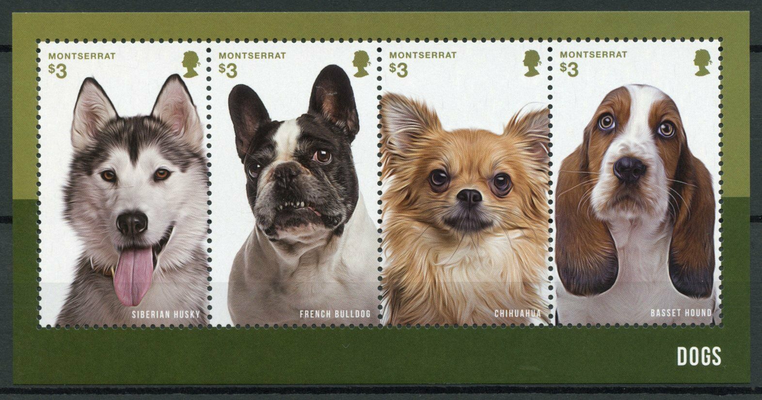 Montserrat 2014 MNH Dogs Stamps Husky Bulldogs Chihuahua Basset Hound 4v M/S