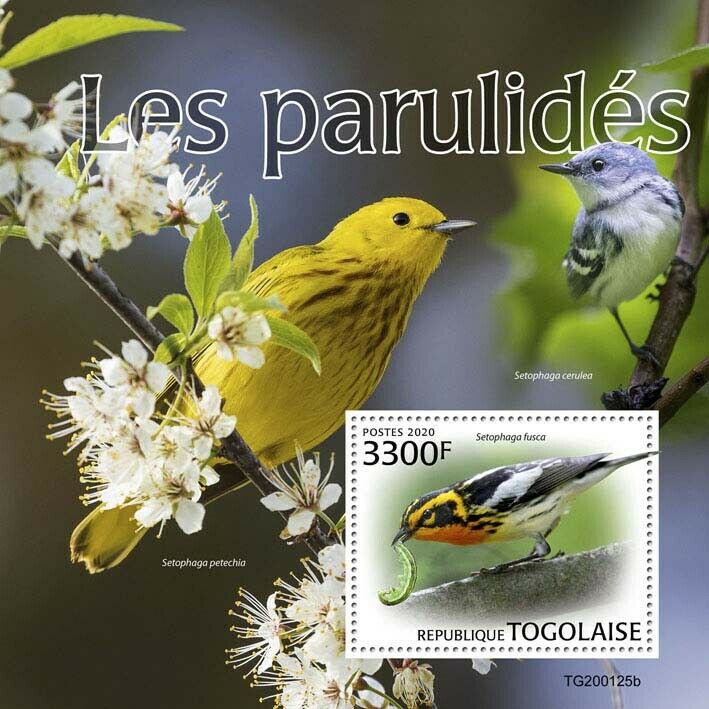 Togo 2020 MNH Birds on Stamps Warblers Warbler Bird 1v S/S