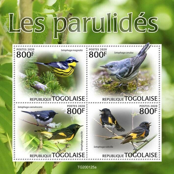 Togo Birds on Stamps 2020 MNH Warblers Warbler Bird 4v M/S