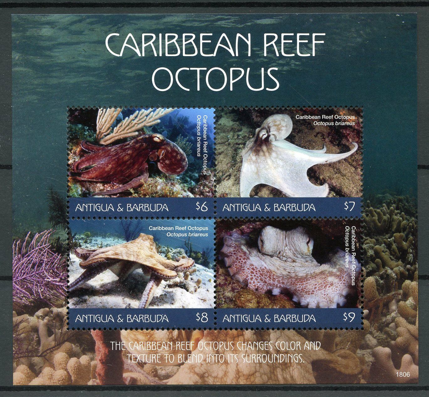 Antigua & Barbuda Marine Animals Stamps 2018 MNH Caribbean Reef Octopus 4v M/S
