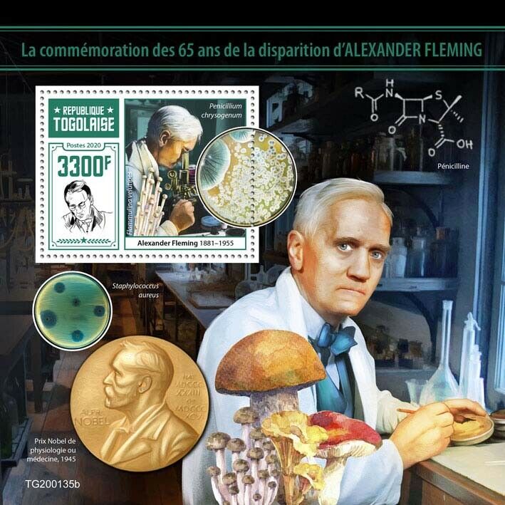Togo Medical Stamps 2020 MNH Alexander Fleming Mushrooms Penicillin Nobel 1v S/S