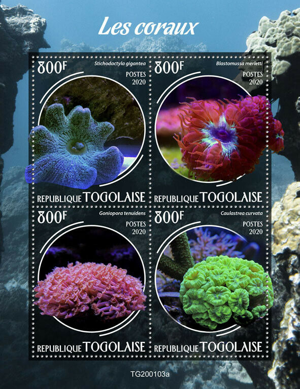 Togo Marine Life Stamps 2020 MNH Corals Coral 4v M/S