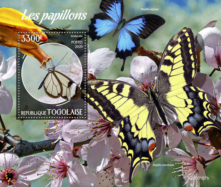 Togo 2020 MNH Butterflies Stamps Glasswing Swallowtail Butterfly Insects 1v S/S