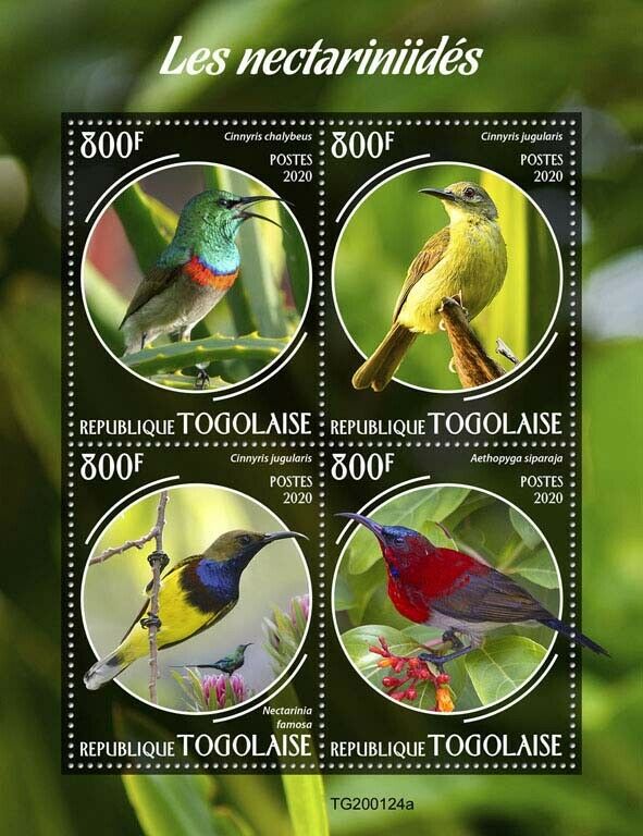 Togo 2020 MNH Birds on Stamps Sunbirds Sunbird Fauna 4v M/S