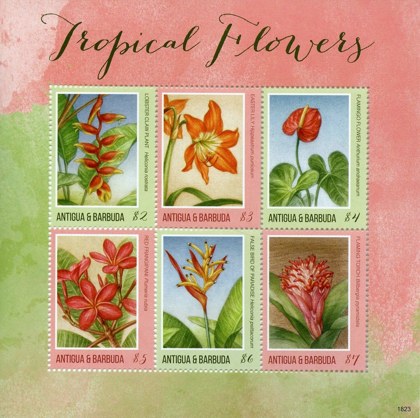 Antigua & Barbuda Nature Stamps 2018 MNH Tropical Flowers Frangipani 6v M/S