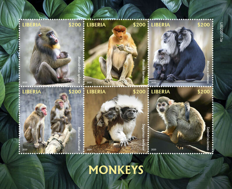 Liberia Wild Animals Stamps 2020 MNH Monkeys Macaques Mandrill Fauna 6v M/S