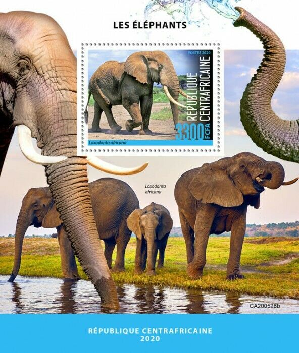 Central African Rep Wild Animals Stamps 2020 MNH Elephants Elephant Fauna 1v S/S