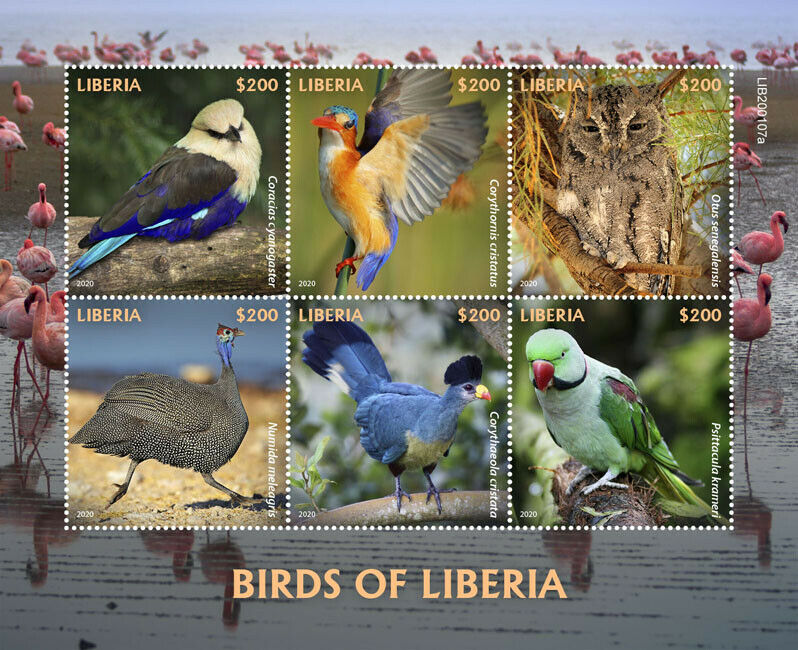 Liberia 2020 MNH Birds on Stamps Rollers Kingfishers Owls Parakeets 6v M/S