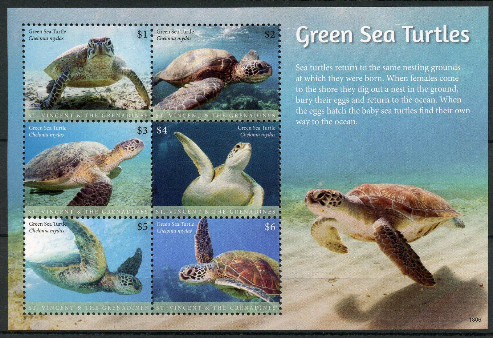 St Vincent & Grenadines Reptiles Stamps 2018 MNH Green Sea Turtles Turtle 6v M/S