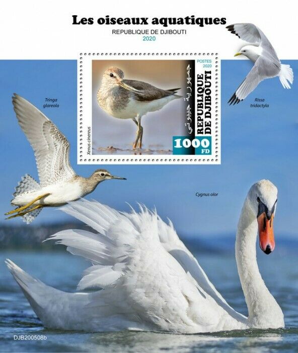 Djibouti Water Birds on Stamps 2020 MNH Sandpipers Waders Swans 1v S/S