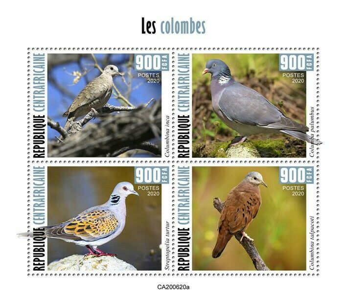 Central African Rep Birds on Stamps 2020 MNH Doves Turtle Dove Pigeons 4v M/S