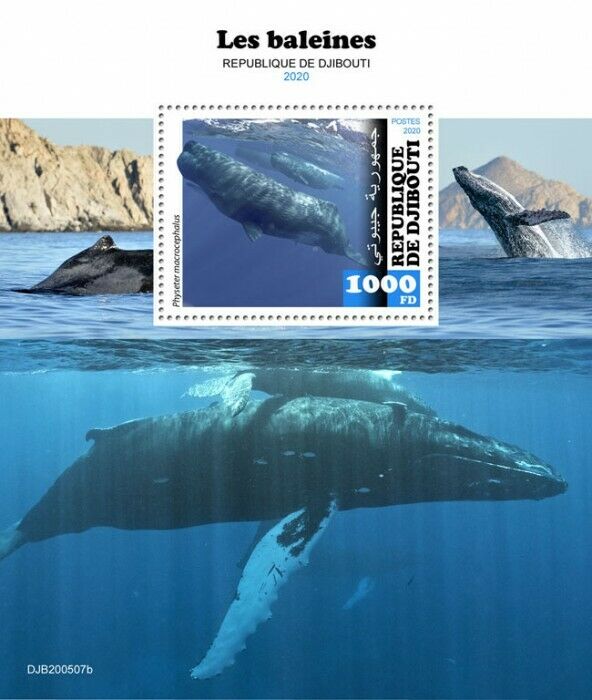 Djibouti Marine Animals Stamps 2020 MNH Whales Sperm Whale Fauna 1v S/S