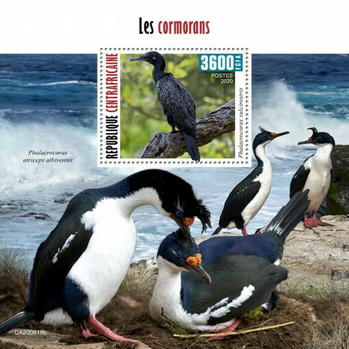 Central African Republic Birds on Stamps 2020 MNH Cormorants Cormorant 1v S/S