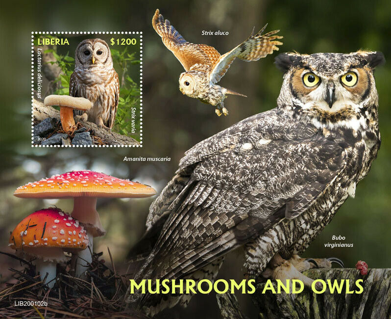 Liberia Mushrooms & Owls Stamps 2020 MNH Barred Tawny Owl Birds Fungi 1v S/S