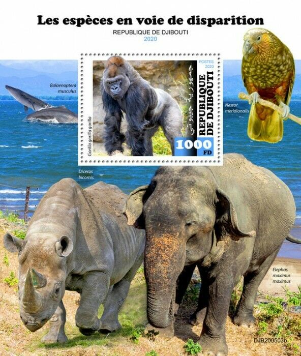 Djibouti Endangered Wild Animals Stamps 2020 MNH Gorillas Elephants Rhinos 1v SS