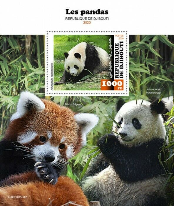 Djibouti Wild Animals Stamps 2020 MNH Pandas Red Giant Panda Fauna 1v S/S