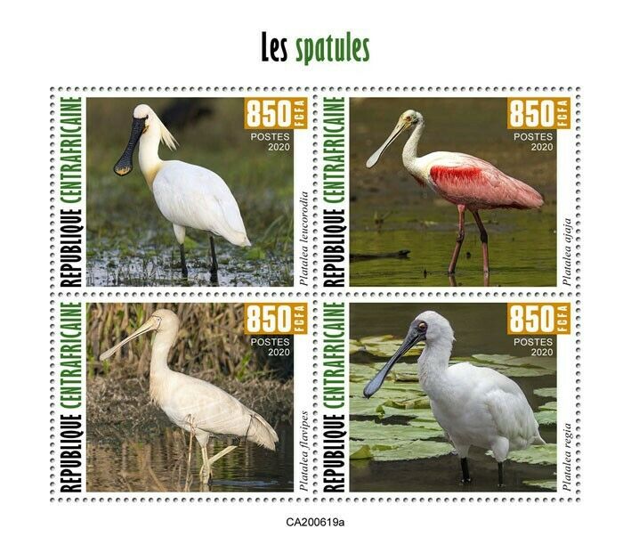 Central African Rep Birds on Stamps 2020 MNH Spoonbills Roseate Spoonbill 4v M/S