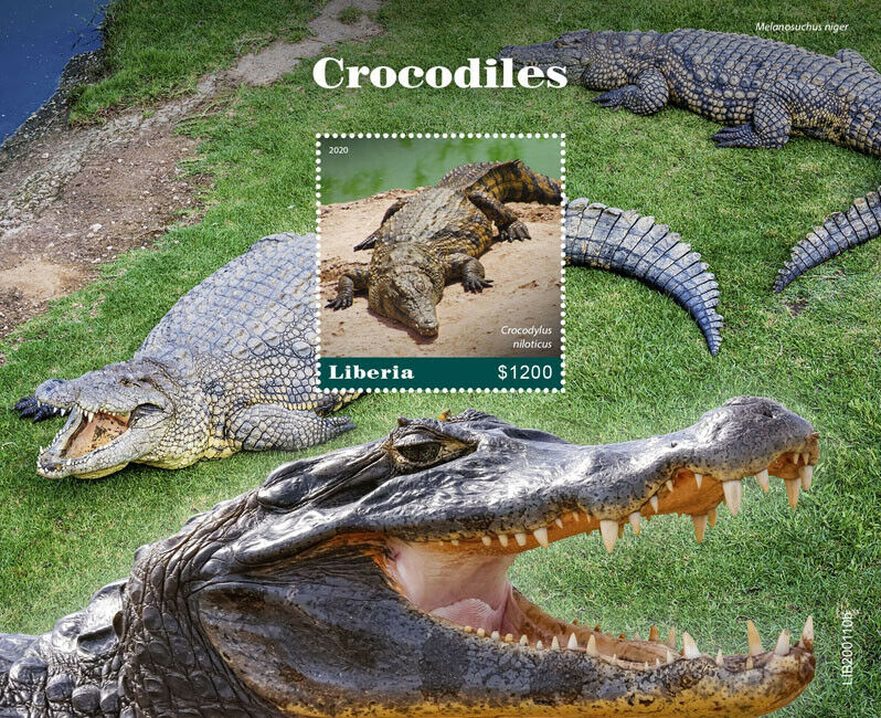 Liberia Reptiles Stamps 2020 MNH Crocodiles Nile Crocodile 1v S/S