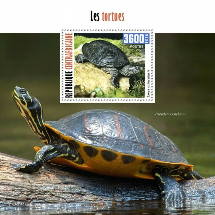 Central African Rep Turtles Stamps 2020 MNH European Pond Turtle Reptiles 1v S/S