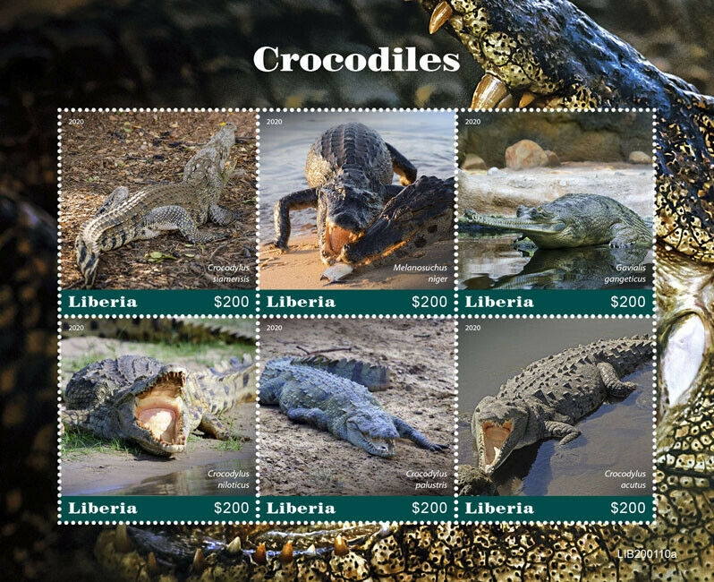 Liberia 2020 MNH Reptiles Stamps Crocodiles Nile Crocodile Gharial 6v M/S