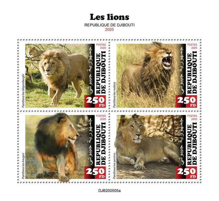 Djibouti Wild Animals Stamps 2020 MNH Lions Big Cats Lion Fauna 4v M/S