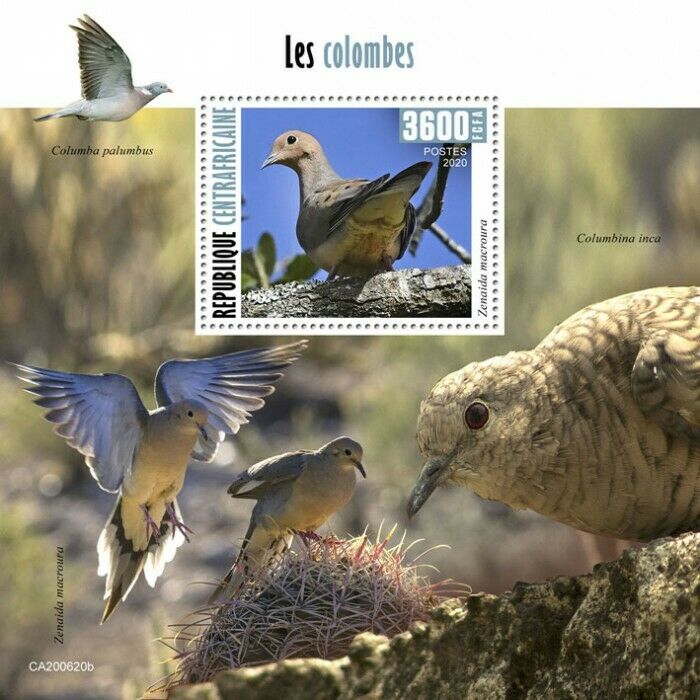 Central African Rep Birds on Stamps 2020 MNH Doves Mourning Dove Pigeons 1v S/S