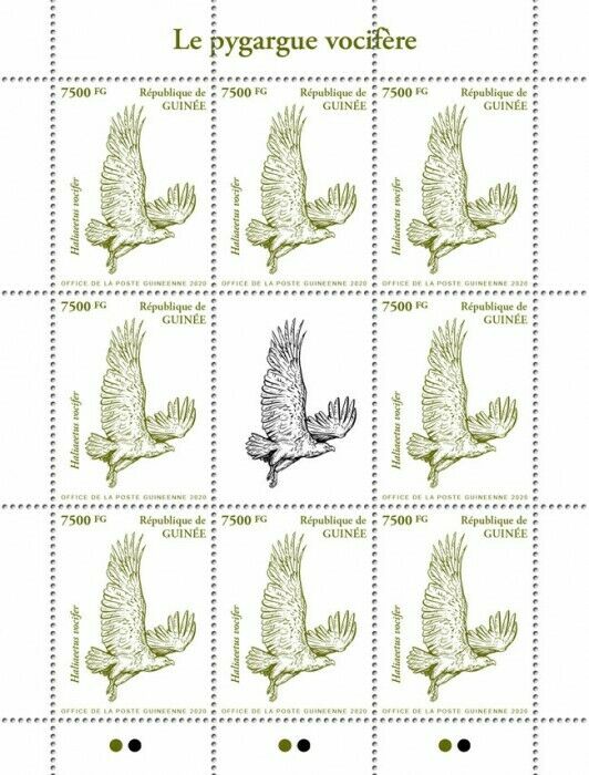 Guinea Birds of Prey on Stamps 2020 MNH African Fish Eagle Eagles 8v M/S I