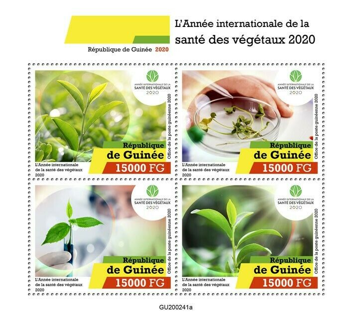 Guinea Plants Stamps 2020 MNH International Year of Plant Health Nature 4v M/S