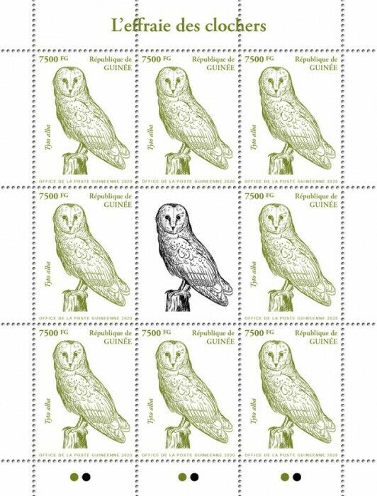 Guinea 2020 MNH Birds of Prey on Stamps Owls Barn Owl 8v M/S II