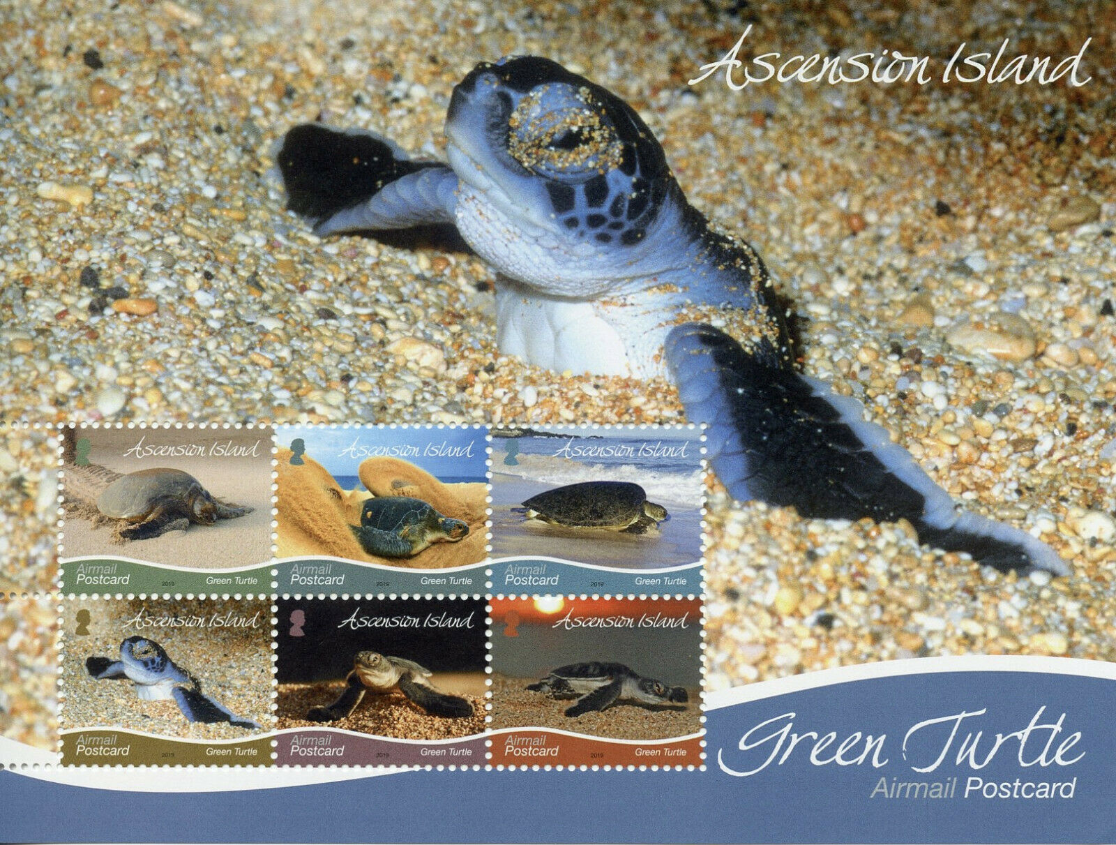 Ascension Island 2019 MNH Turtles Stamps Green Turtle R/P Reptiles 6v M/S