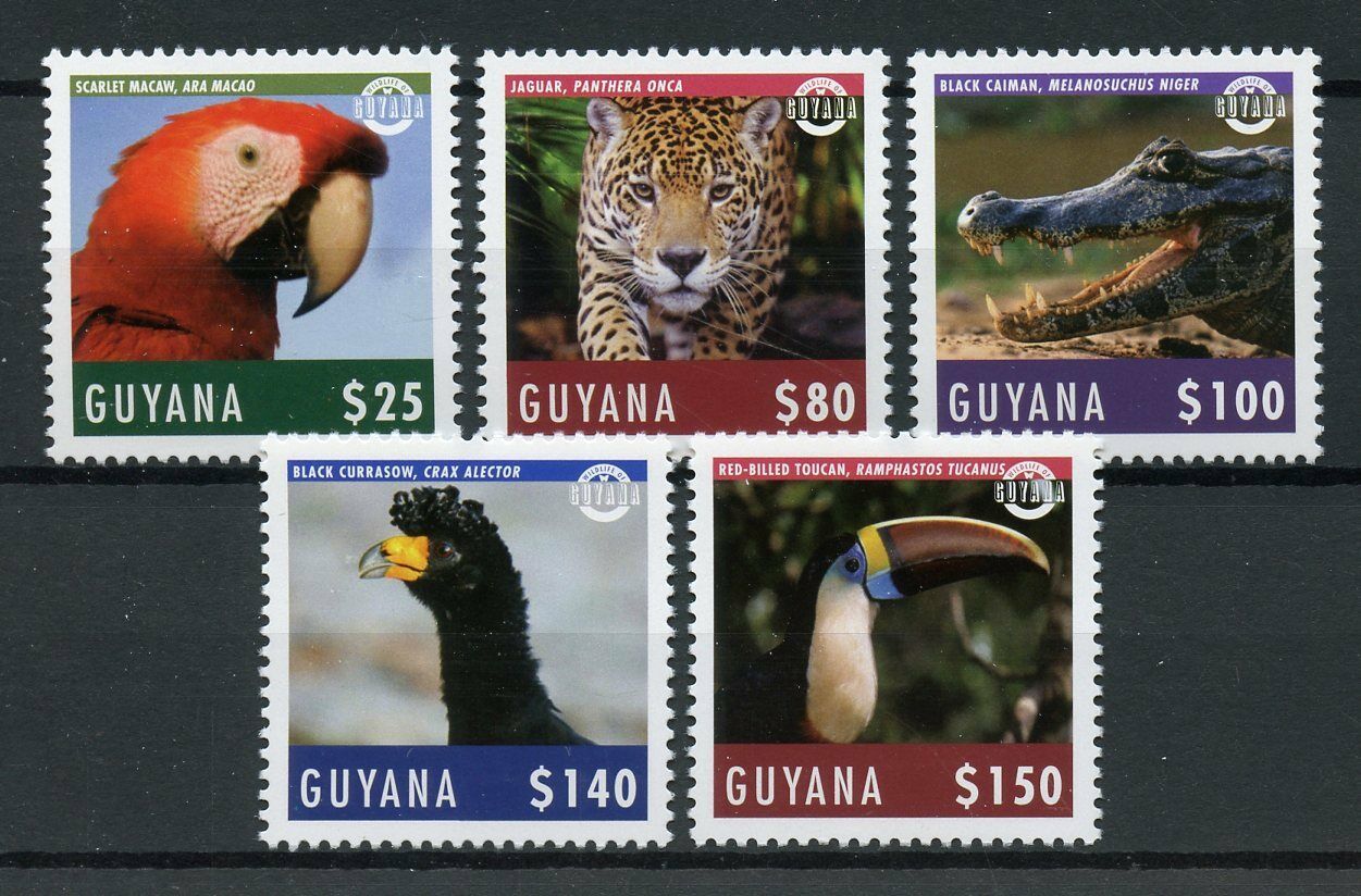 Guyana 2018 MNH Wild Animals Stamps Wildlife Parrots Panthers Toucans Birds 5v Set