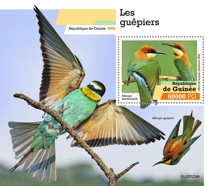 Guinea Birds on Stamps 2020 MNH Bee-Eaters Bee-Eater 1v S/S