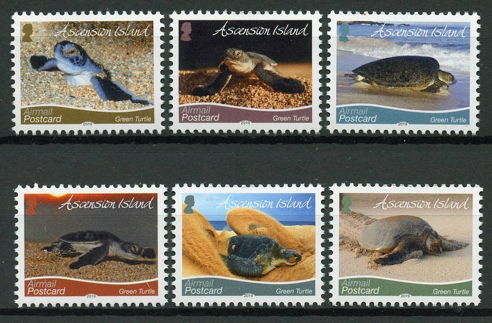 Ascension Island 2019 MNH Turtles Stamps Green Turtle R/P Reptiles 6v Set