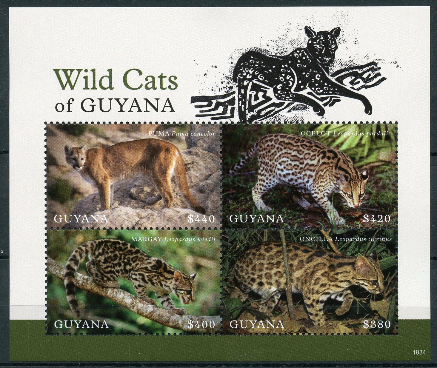 Guyana 2018 MNH Wild Animals Stamps Wild Cats Ocelot Puma Oncilla Margay 4v M/S II