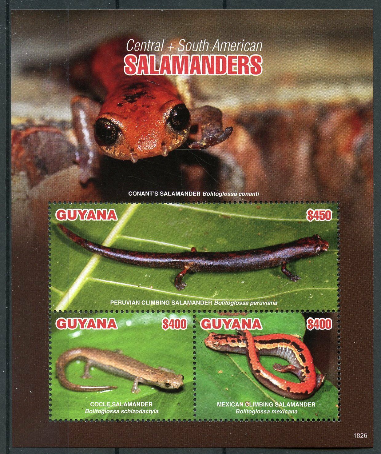 Guyana 2018 MNH Amphibians Stamps Central & South American Salamanders 3v M/S