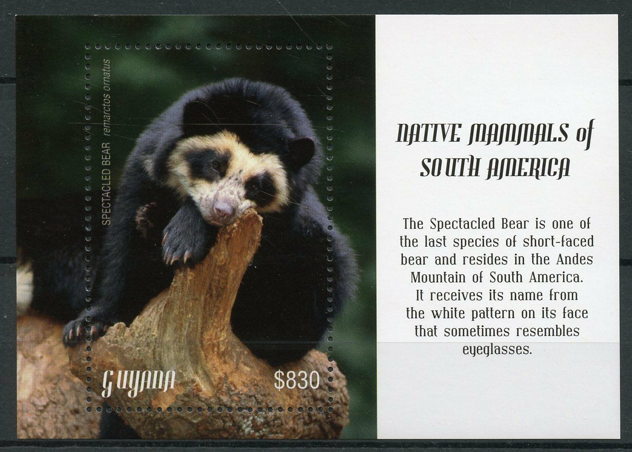 Guyana 2018 MNH Bears Stamps Native Mammals South America Spectacled Bear 1v S/S
