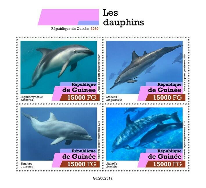 Guinea Marine Animals Stamps 2020 MNH Dolphins Bottlenose Dolphin Mammals 4v M/S