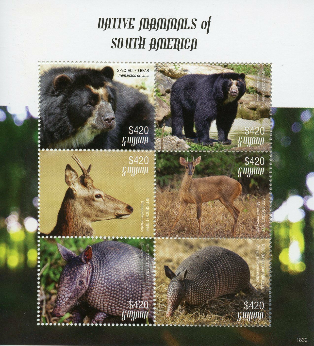 Guyana Stamps 2018 MNH Native Mammals South America Bears Deer Armadillo 6v M/S