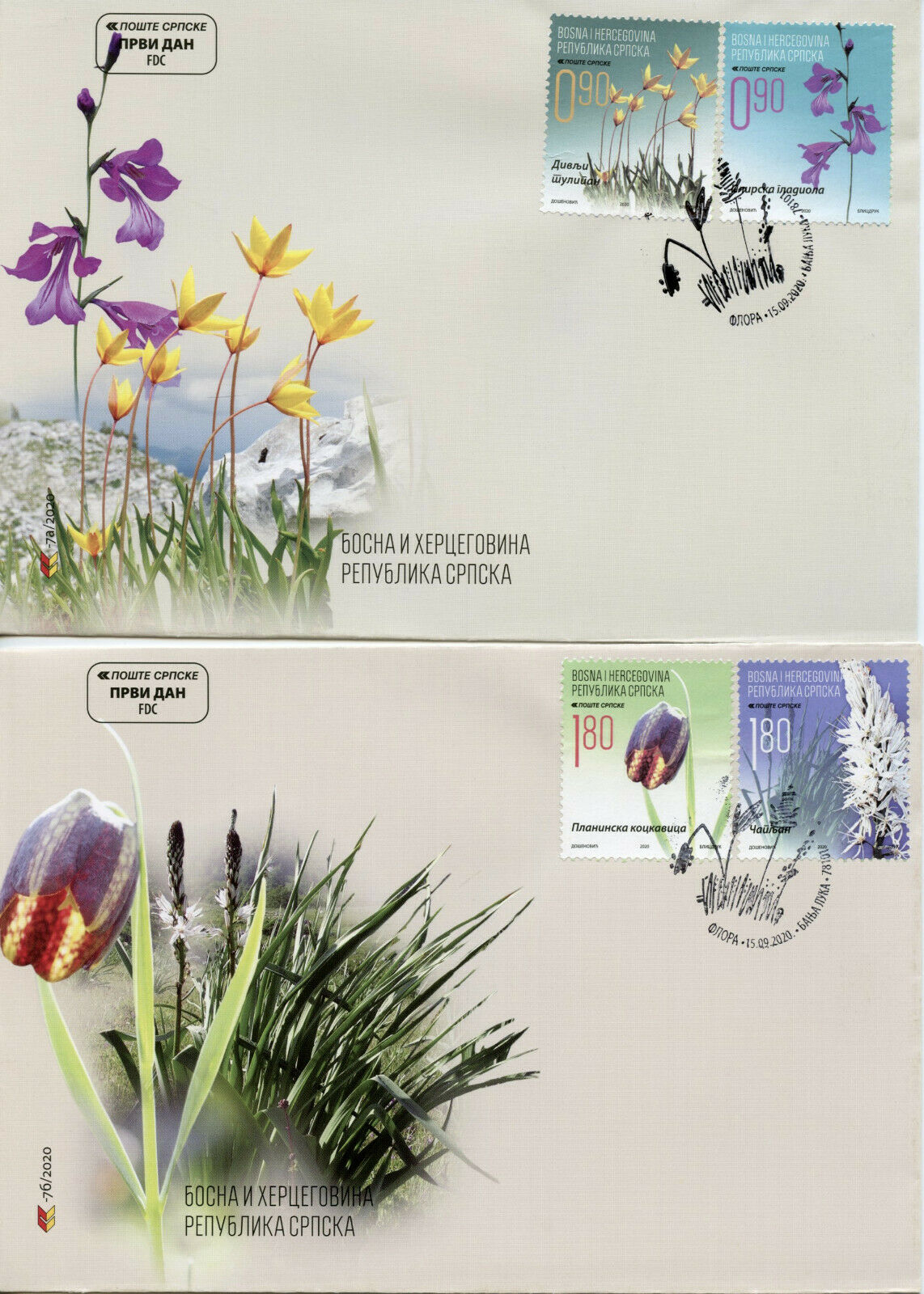 Bosnia & Herzegovina Flowers Stamps 2020 FDC Flora Wild Tulips Plants 4v Set