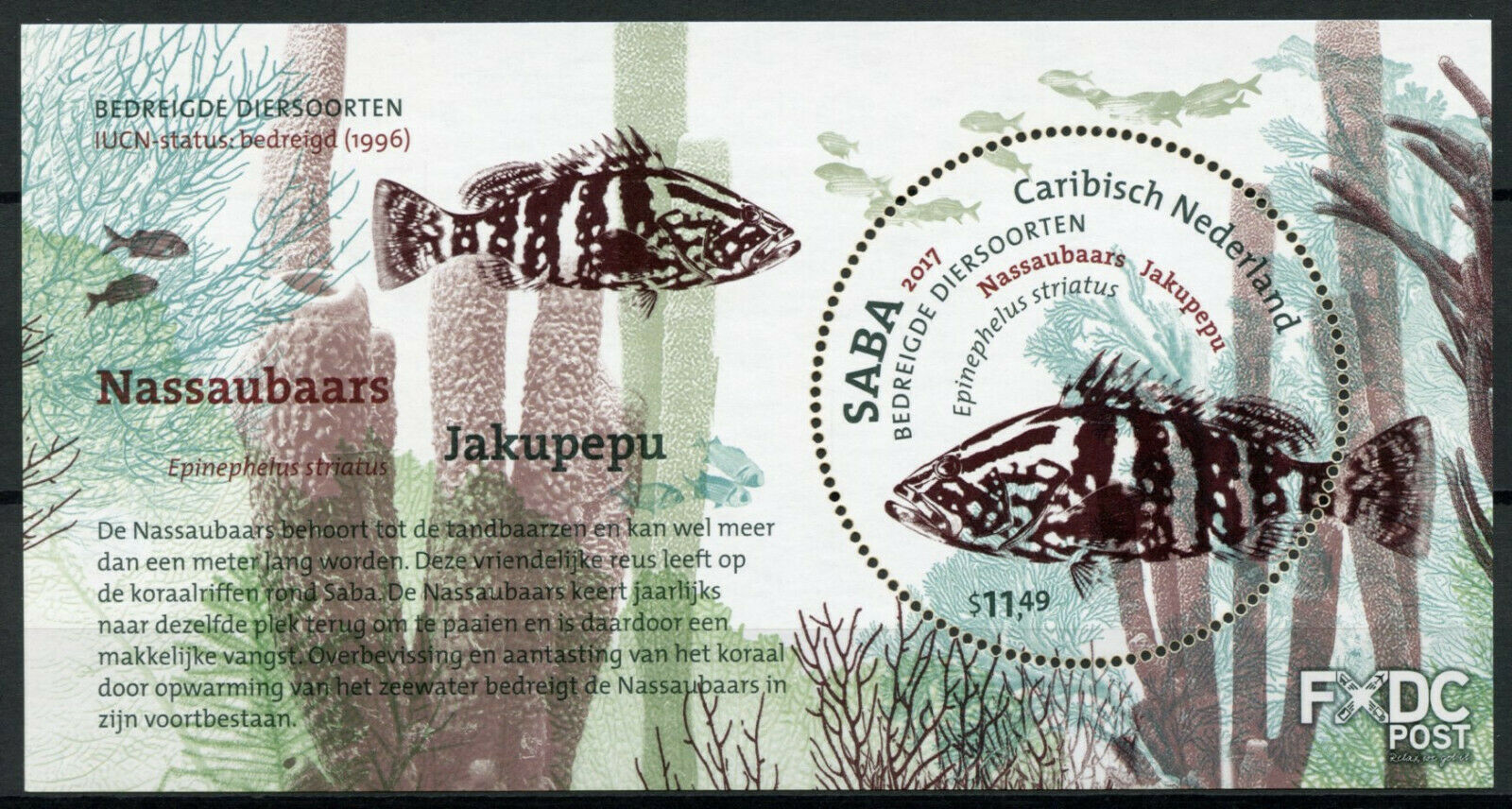 Saba Caribbean Netherlands Fish Stamps 2017 MNH Nassau Grouper Fishes 1v M/S
