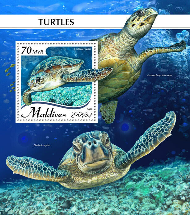 Maldives Turtles Stamps 2018 MNH Green Hawksbill Sea Turtle Reptiles 1v S/S